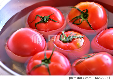 Ripe red tomatoes cooled in water Ripe red tomatoes cooled in water 66322241