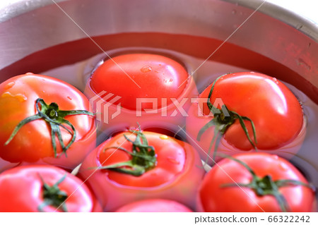 Ripe red tomatoes cooled in water 66322242