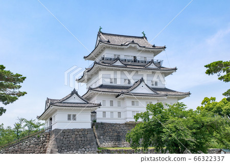 神奈川縣小田原城的城堡塔 66322337
