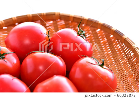 Ripe tomato in a colander Ripe tomato in a colander 66322872