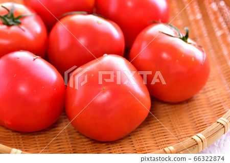 Ripe tomato in a colander Ripe tomato in a colander 66322874