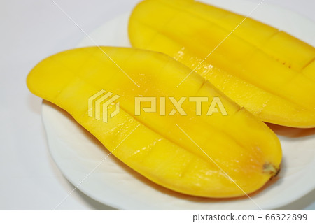 mango mango 66322899