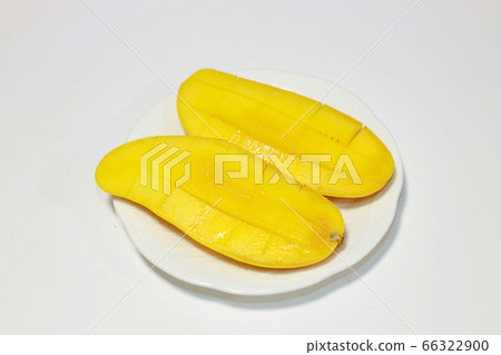 mango mango 66322900