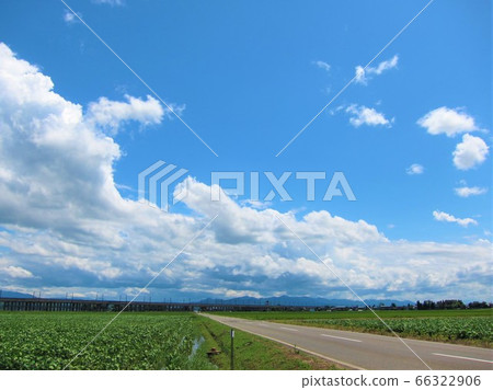 永遠的道路 66322906