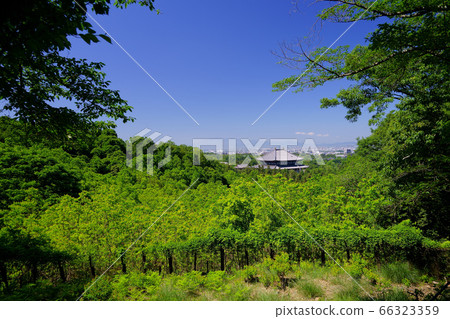 Clear view of Todaiji Temple-2 66323359