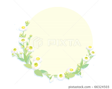 Flower frame 66324503