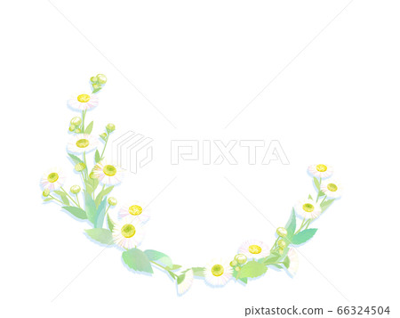 Flower frame 66324504
