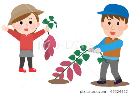 Illustration of men and women digging potatoes Illustration of men and women digging potatoes 66324522