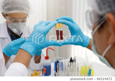 Research and development concept, Laboratory 66324872