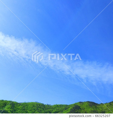 I saw the dragon rising and covering the sky. It was a great sight. I saw the dragon rising and covering the sky. It was a great sight. 66325207