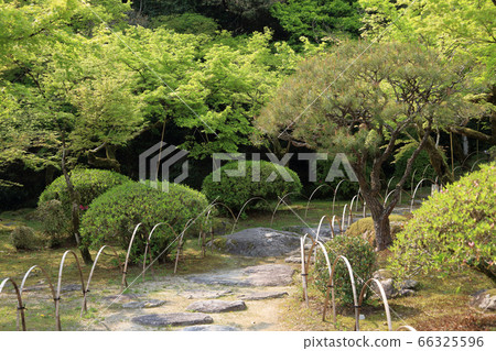 Nishiyama Shrine Nishiyama Shrine 66325596