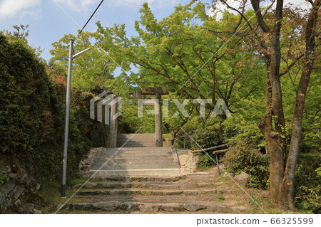 Nishiyama Shrine 66325599