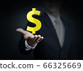 Close up of businessman holding Money in hand, 66325669