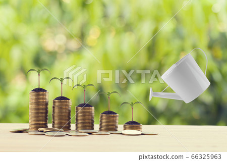 Banking and finance, Saving money concept: Water being poured on green sprout on rows of increasing coins on wood table in the natural green background. Depicts asset security for sustainable growth. 66325963