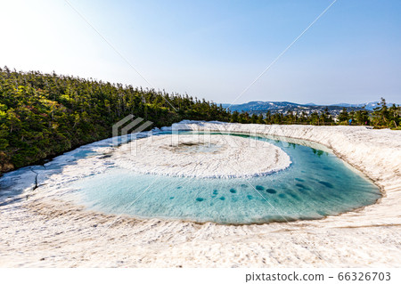 八man平龍眼(鹿min沼) 八man平龍眼(鹿min沼) 66326703