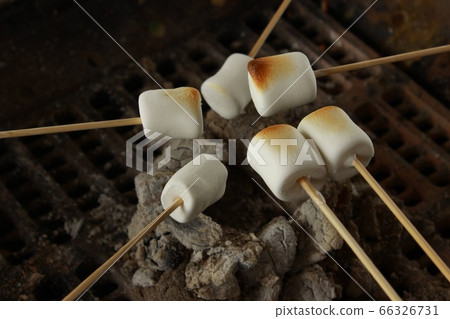 烤棉花糖 66326731