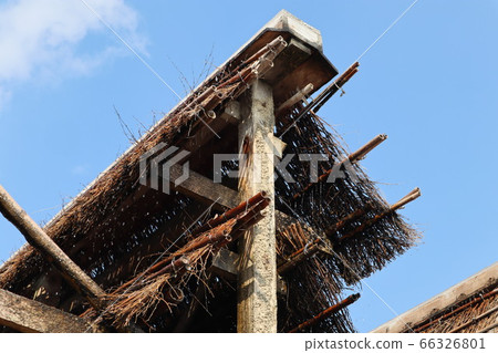 Chita Peninsula Flow-down style branch row Shioda 66326801