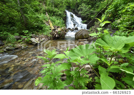 Kuroiwa Waterfall (Hokkaido, Nishikobu Village) Kuroiwa Waterfall (Hokkaido, Nishikobu Village) 66326923