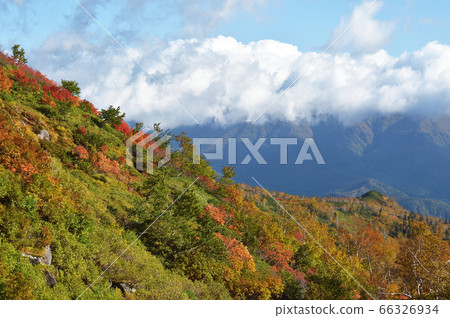 Autumn leaves of Ginsendai (Hokkaido, Kamikawa Town, Daisetsuzan) 66326934