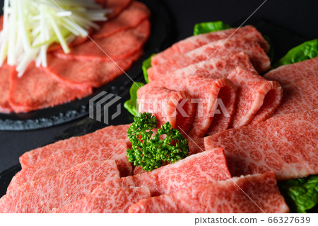 Japanese Wagyu beef 66327639