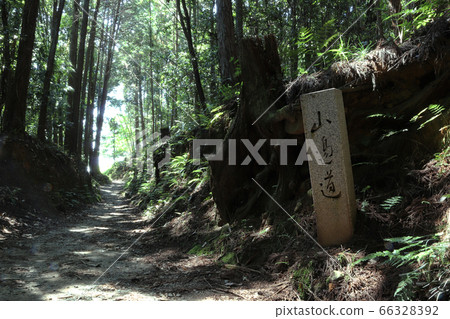 山附近路（奈良縣天理市與大神宮之間） 66328392