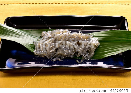 早上刺身生魚片 66329695