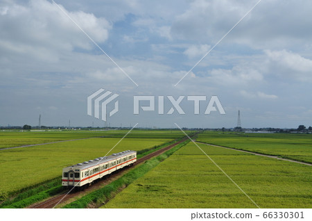 關東鐵道城中線三uma至南石田站之間的定期列車(奇哈350型有軌電車) 關東鐵道城中線三uma至南石田站之間的定期列車(奇哈350型有軌電車) 66330301