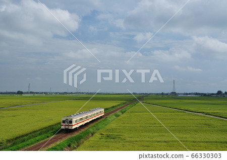 關東鐵道城中線三uma至南石田站之間的定期列車(奇哈350型有軌電車) 關東鐵道城中線三uma至南石田站之間的定期列車(奇哈350型有軌電車) 66330303