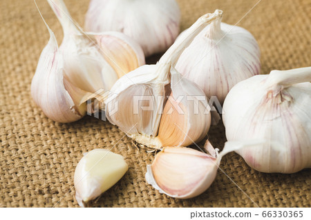 Fresh garlic bulbs-Garlic cloves-Healthy spice Fresh garlic bulbs-Garlic cloves-Healthy spice 66330365