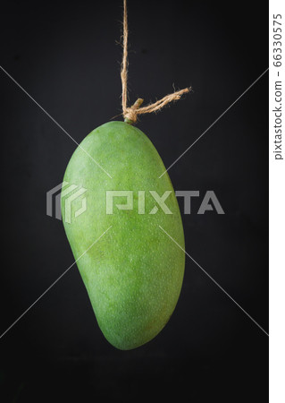 Fresh big green mango Fresh big green mango 66330575