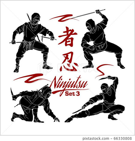 Ninja Warriors - vector set, vector silhouettes isolated on white 66330808
