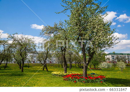 Spring in the city park 66331847