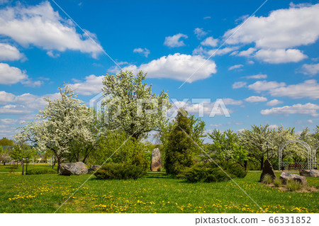 Spring in the city park 66331852