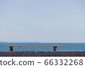 skateboard  66332268
