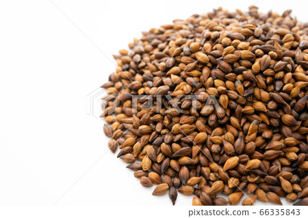 Barley tea Barley tea 66335843