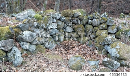 Traces of an old building where thick moss replaces the rings of time Traces of an old building where thick moss replaces the rings of time 66336583