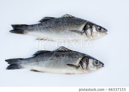 Raw sea bass with spices and herbs on a white 66337155