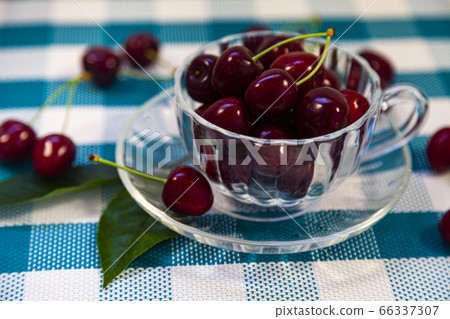 Ripe sweet cherries in a cup on a checkered Ripe sweet cherries in a cup on a checkered 66337307