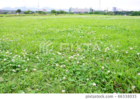 河邊的廣闊草原 66338035