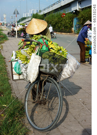 Vietnamese woman pack bunch of bananas, transport by bicycle, mobile fruits shop, street vendor 66338148
