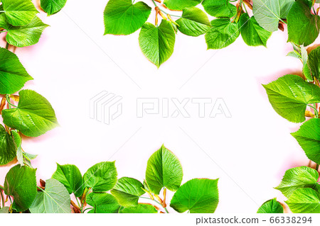 Natural background for skin care products, natural cosmetic. 66338294