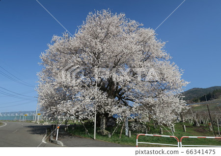 Uki Ed Higan Uki Ed Higan 66341475