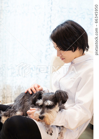 一個拿著迷你雪納瑞he癒的女人 66345950