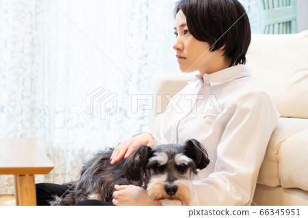 一個拿著迷你雪納瑞he癒的女人 66345951