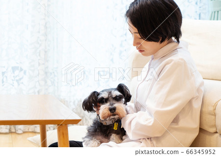 一個拿著迷你雪納瑞he癒的女人 66345952