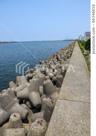 四腳 四腳 66346658