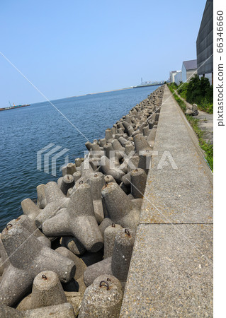 四腳 四腳 66346660