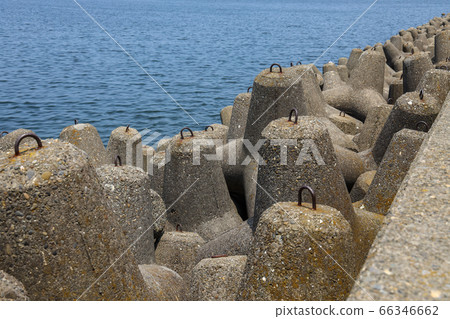 Tetrapod Tetrapod 66346662