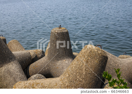 Tetrapod Tetrapod 66346663