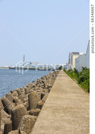 四腳 四腳 66346667